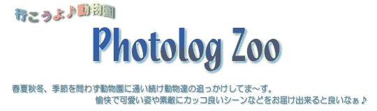 Photolog Zoo