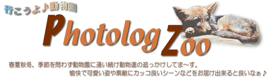 Photolog Zoo